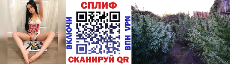 Что такое Емва COCAIN СОЛЬ ГАШИШ Конопля ТГК Меф мяу мяу Псилоцибиновые грибы