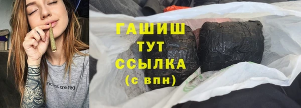 мдпв Гусев