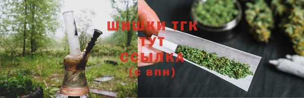 мдпв Гусев
