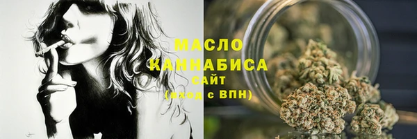 мдпв Гусев