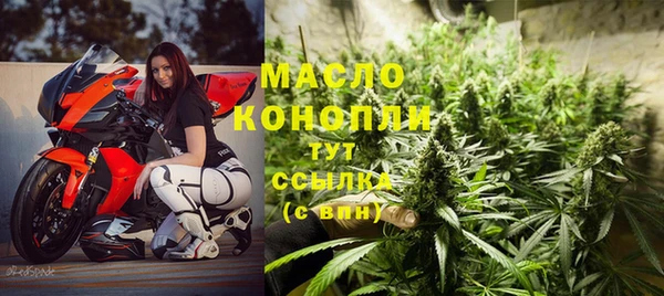 мдпв Гусев