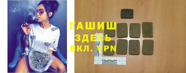 мдпв Гусев