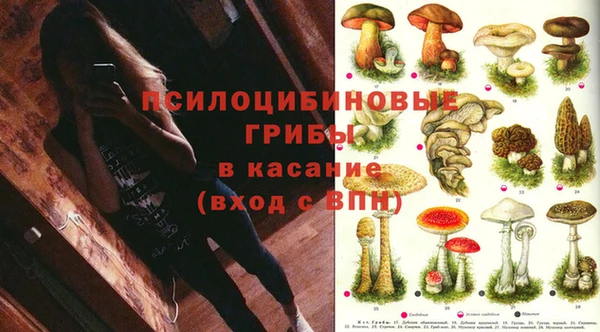 прущая мука Гусиноозёрск