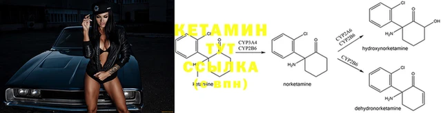 мдпв Гусев