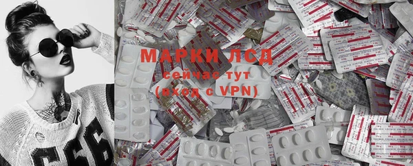 дживик Билибино