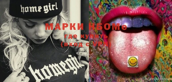 мдпв Гусев