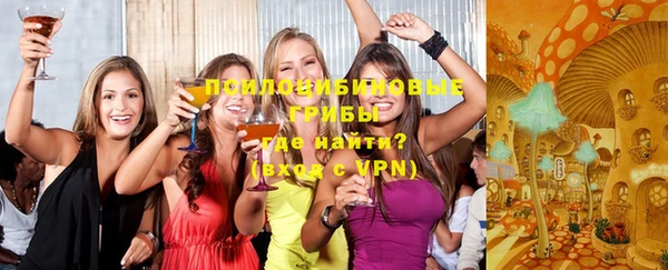 мдпв Гусев