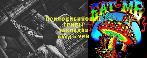 прущая мука Гусиноозёрск