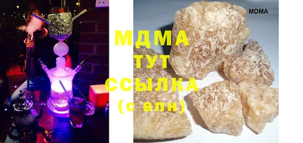 мдпв Гусев