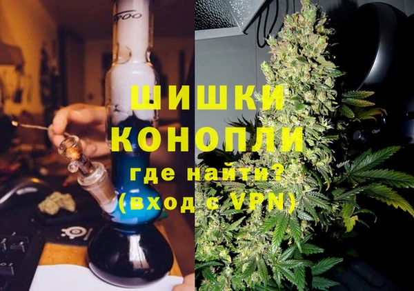 мдпв Гусев