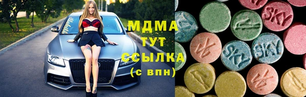 мдпв Гусев