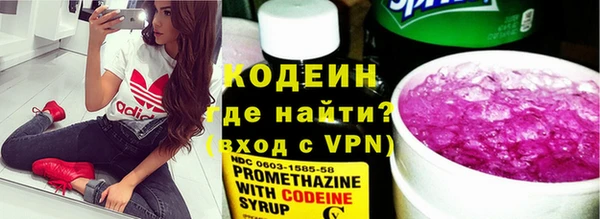 мдпв Гусев